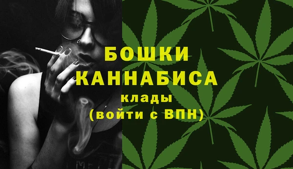 гашик Липки