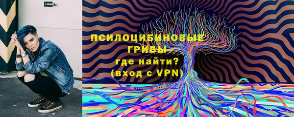 мдпв Лихославль