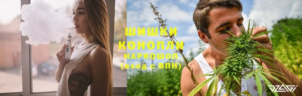 мдпв Лиски