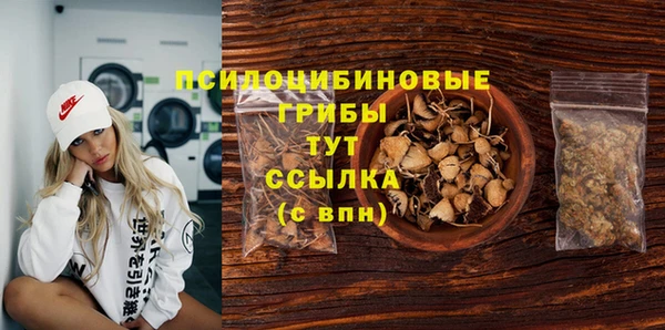 мдпв Лиски