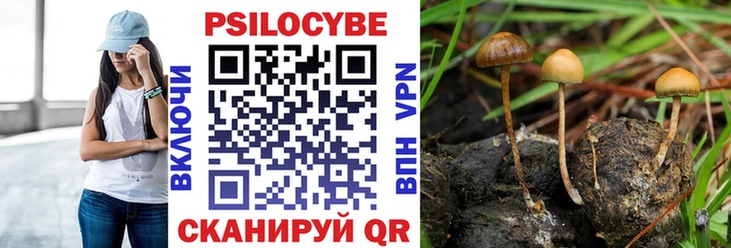 Купить где  Кувшиново  Псилоцибиновые грибы мухоморы 