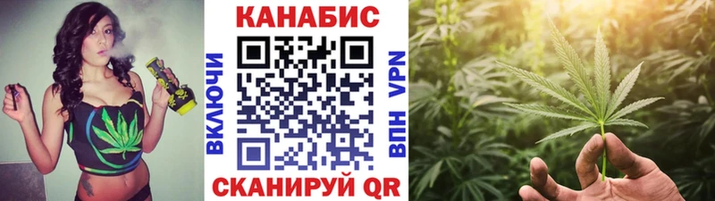 Купить Кувшиново Каннабис OG Kush