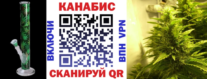МАРИХУАНА план Кувшиново